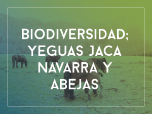 biodiversidad, jaca navarra y abejas