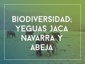 biodiversidad