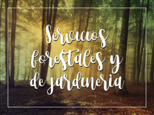 Servicios forestales y de jardinería Gentiana