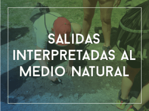 salidas interpretadas al medio natural