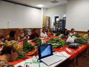 educacion ambiental