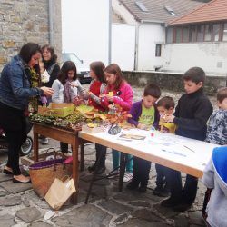 EDUCACIÓN AMBIENTAL EN COLEGIOS. Gentiana servicios Ambientales en el Pirineo