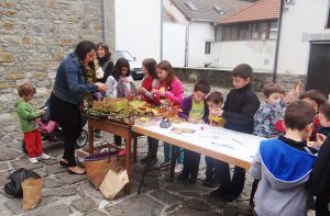 EDUCACIÓN AMBIENTAL EN COLEGIOS. Gentiana servicios Ambientales en el Pirineo