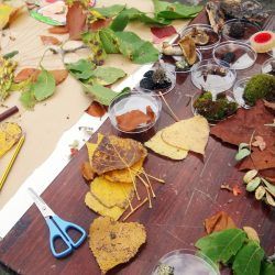 EDUCACIÓN AMBIENTAL EN COLEGIOS. Gentiana servicios Ambientales en el Pirineo