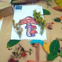 EDUCACIÓN AMBIENTAL EN COLEGIOS. Gentiana servicios Ambientales en el Pirineo