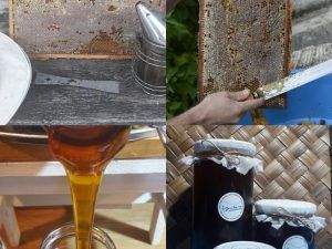 Productos naturales abeja